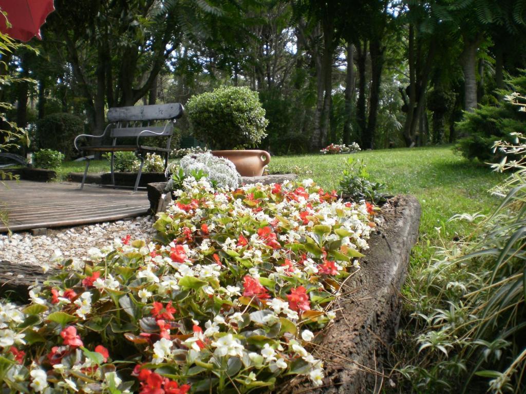 Posada Del Bosque By Hs Carilo Luaran gambar